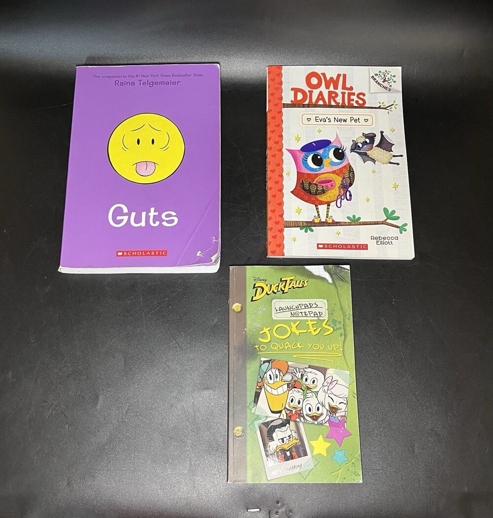 Kids Book Lot 3 Guts Raina Telgemeier Owl Diaries Eva’s New Pet DuckTales